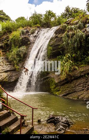 Plongeurs de falaise à la chute d'eau de Concord à la Grenade Banque D'Images