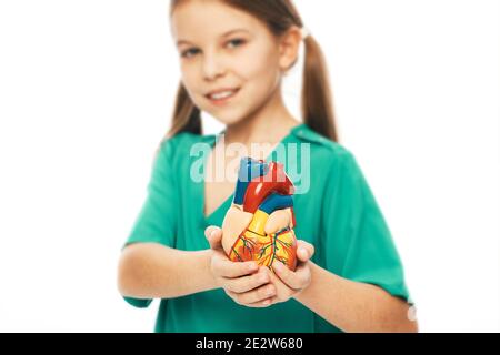 Fille portant un uniforme médical vert et tenant un modèle anatomique de coeur dans les mains. Concept de santé cardiaque et diagnostic de la disea cardiaque des enfants Banque D'Images