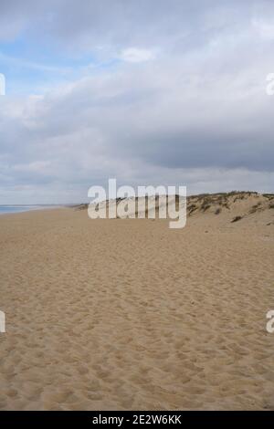 Dunes de sable avec personne et une tempête derrière à Comporta, Portugal Banque D'Images