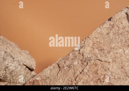 Beige pierre naturelle sur fond beige. Photo de haute qualité Banque D'Images