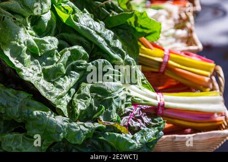 Verger arc-en-ciel à vendre sur un marché agricole Banque D'Images