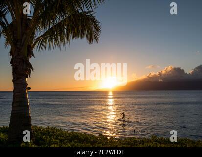 Un homme sur un paddle-board au coucher du soleil à Napili Bay, Maui, Hawaii. Banque D'Images