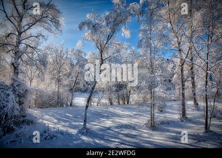 DE - BAVIÈRE : scène hivernale ensoleillée près de Bad Tölz dans la vallée de l'Isar Banque D'Images