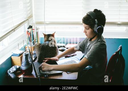 Tabby Cat est assis sur un bureau tandis que Boy Works est sur un ordinateur portable Banque D'Images