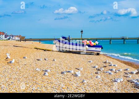 Bateau de pêche traditionnel et mouettes se détendant sur une plage de galets, regardant au nord de la jetée, Deal, Kent, Grande-Bretagne, juillet 2016 Banque D'Images