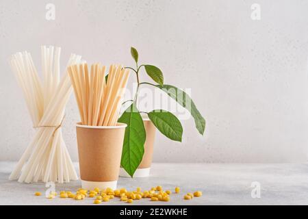 Tubes à boire en papier et fécule de maïs, matériau biodégradable et verres en papier écologique avec feuilles de sprout vertes sur fond gris. Aucun gaspillage et Banque D'Images