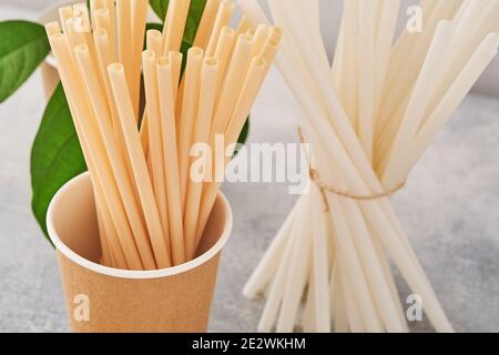 Tubes à boire en papier et fécule de maïs, matériau biodégradable et verres en papier écologique avec feuilles de sprout vertes sur fond gris. Aucun gaspillage et Banque D'Images