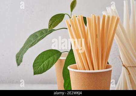 Tubes à boire en papier et fécule de maïs, matériau biodégradable et verres en papier écologique avec feuilles de sprout vertes sur fond gris. Aucun gaspillage et Banque D'Images