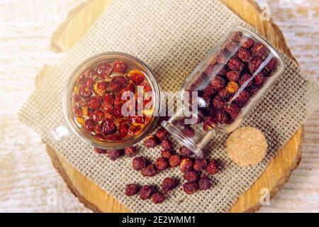 Crataegus curvisiepala Crataegus monogyna, Crataegus rhipidophylla connu sous le nom de tisane de baies d'aubépine commune ou de baies d'aubépine à simple ensemencement. Banque D'Images