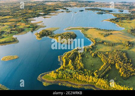 Braslaw ou Braslau, Vitebsk Doblast, Bélarus. Vue aérienne du lac Nedrava et paysage de la forêt verte dans le soleil d'automne matin. Vue de dessus de magnifique Banque D'Images
