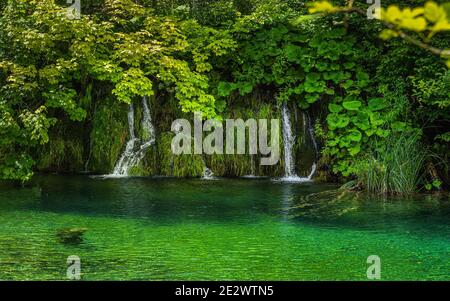 Gros plan sur une colline verdoyante avec de petites cascades ou cascades d'eau tombant dans l'étang. Parc national des lacs de Plitvice Patrimoine mondial de l'UNESCO, Croatie Banque D'Images