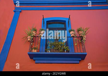 Façade de maison coloniale avec un mur en stuc rouge vénitien, fenêtre taillée de bleu et balustrades de balcon en fer fait à la main avec pots en argile à Puebla, Mexique. Banque D'Images