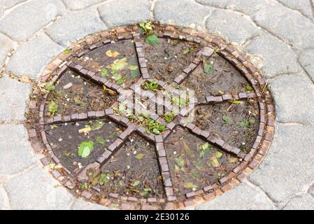 Couvre-trou d'homme à Bratislava. Un ancien trou d'homme avec les restes de feuilles, de cigarettes et d'eau Banque D'Images