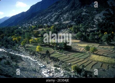 Vallée de Bumburet dans le district de Chitral, au nord-ouest du Pakistan, 1979 Banque D'Images