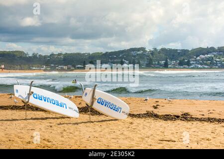 20 février 2020 - Avoca Beach NSW, Australie : planches de sauvetage sur la plage avec l'extrémité nord de la plage en arrière-plan. Banque D'Images