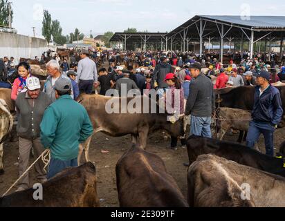 Karakol, Kirghizistan - 14 juillet 2019 : marché du bétail avec des vaches et de nombreuses personnes et agriculteurs dans la ville de Karakol au Kirghizistan. Banque D'Images