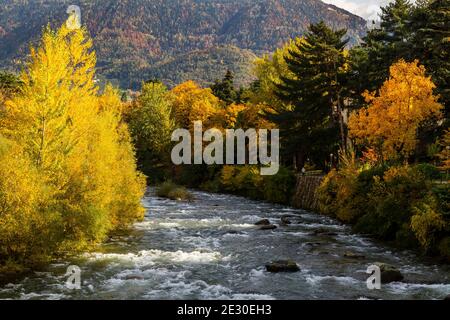Vue sur la rivière Passirio dans le centre-ville de Merano. Merano, province de Bolzano, Trentin-Haut-Adige, Italie, Europe. Banque D'Images