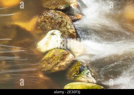 Eau douce claire qui coule sur des cailloux et des pierres dans une crique, une crique peu profonde dans une forêt tropicale, doux streaming avec de la mousse sur la surface de l'eau. Banque D'Images