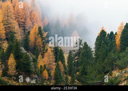 Vue sur les montagnes Odle pendant une matinée brumeuse. Vallée de Funes, Alpes des Dolomites, Trentin-Haut-Adige, Italie. Banque D'Images