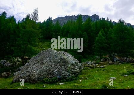 un seul énorme rocher sur la prairie verte dans les montagnes Banque D'Images
