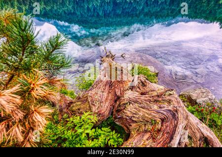 Belles réflexions dans les alpes suisses lac Lago di Saoseo, HDR Banque D'Images