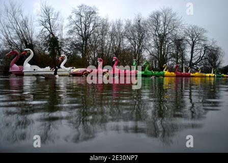 En raison de la covid19 bateaux de plaisance inutilisés et pédalos de différents styles, sur le lac Aleaxandra, Alexandra Palace, Londres Banque D'Images