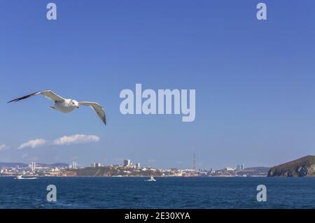 Vol vers le bord de mer du ferry et le paysage urbain de Vladivostok de loin jour ensoleillé Banque D'Images