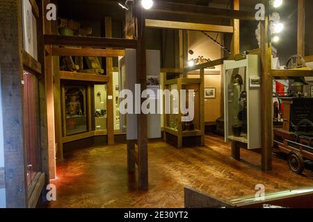 Vue générale de la galerie d'histoire sociale, Salisbury Museum, Salisbury, Wiltshire, Royaume-Uni. Banque D'Images