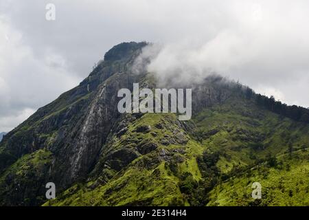 Vue sur le pic d'Ella Rock près du village d'Ella dans les montagnes au Sri Lanka. Herbe verte et rochers sous des nuages étonnants. Belle montagne Banque D'Images