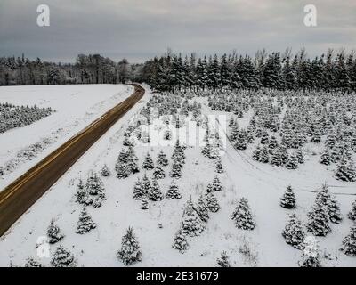 Une illustration aérienne d'un drone montre un paysage hivernal enneigé à Ciney, en Wallonie, le samedi 16 janvier 2021. BELGA PHOTO BRUNO FAHY Banque D'Images