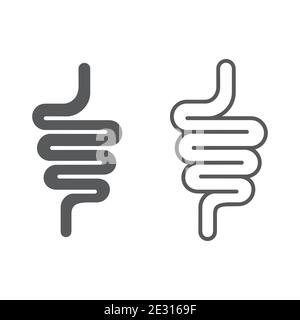 Icône du tractus intestinal isolée sur fond blanc Illustration de Vecteur