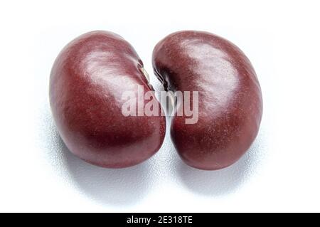 Gros plan macro haricots rouges isolés sur fond blanc. Pile de haricots rouges. Nourriture végétalienne. Concept alimentaire sain Banque D'Images
