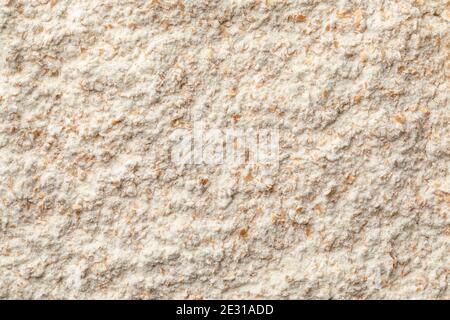 Fleur de blé moulu plein cadre gros plan comme arrière-plan Banque D'Images