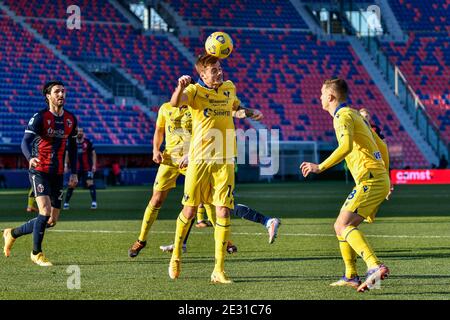 16 janvier 2021, Bologne, Italie : Bologne, Italie, Dall &#39;Stade Ara, 16 janvier 2021, coup de tête d'Ivan Ilic (FC Hellas Verona) pendant le FC de Bologne vs Hellas Verona - football italien Serie A Match (Credit image: © Alessio Marini/LPS via ZUMA Wire) Banque D'Images