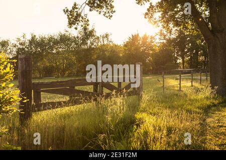 Une grande porte rustique en bois dans une zone rurale aux pays-Bas. Une campagne hollandaise entourée d'herbe et de verdure pendant l'heure d'or coucher de soleil créant un Banque D'Images