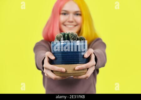 Jeune fille à la mode souriante avec plante de cactus en pot arrière-plan jaune Banque D'Images