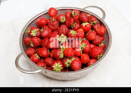 Image d'un grand nombre de fraises fraîchement mûres dans un tamis métallique Banque D'Images