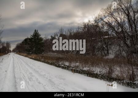 sentier traversant la forêt en hiver Banque D'Images