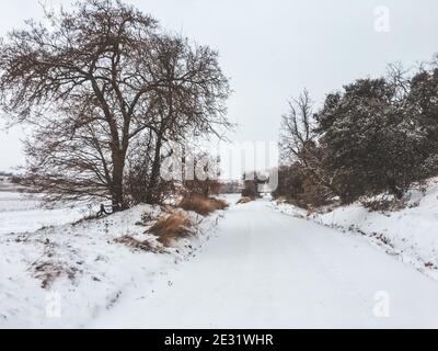 chemin dans la campagne avec forêt totalement couverte de neige Banque D'Images