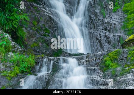 Ruisseau forestier dans la forêt tropicale. Cascade au milieu de rochers et de verdure. Rivière de montagne le jour d'été. Paysage naturel avec cascades de Mountain creek Banque D'Images