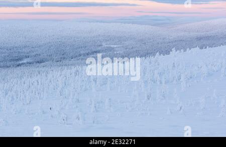 Un skieur dans le désert en Laponie en Finlande Banque D'Images