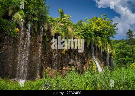 Cascades d'eau provenant de lichens accrochés à la grande cascade. Forêt verdoyante dans le parc national des lacs de Plitvice, patrimoine mondial de l'UNESCO, Croatie Banque D'Images