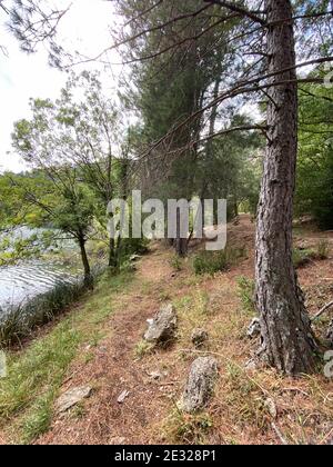 Vue sur la source de la rivière Borosa dans le Parc naturel des Sierras de Cazorla, Segura et las Villas, Andalousie, Espagne. Route par temps ensoleillé Banque D'Images