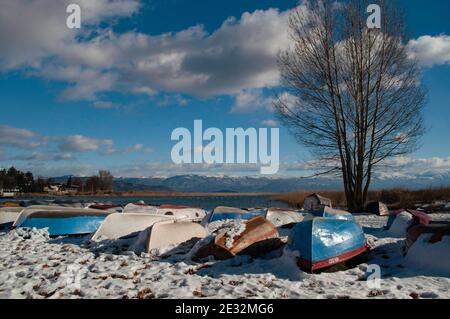 Le long de la rive du lac en hiver. Plantes et roseaux couverts de neige, bateaux rentournés par l'eau. Banque D'Images