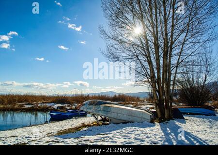 Le long de la rive du lac en hiver. Plantes et roseaux couverts de neige, bateaux rentournés par l'eau. Banque D'Images