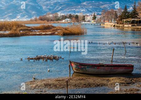 Le long de la rive du lac en hiver. Plantes et roseaux couverts de neige, bateaux rentournés par l'eau. Banque D'Images