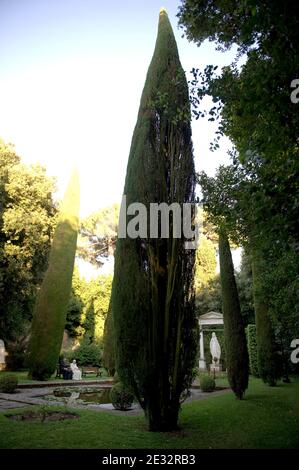 Le pape Benoît XVI s'entretient avec son secrétaire privé Monsignor Georg Gaenswein, dans le jardin de la résidence d'été du pontife à Castel Gandolfo, au sud de Rome, en Italie, le 23 juillet 2010, où il passe ses vacances, dans les collines surplombant Rome. Petite ville au bord du lac en dehors de Rome, Castel Gandolfo est la résidence des Papes depuis 400 ans. Photo par ABACAPRESS.COM Banque D'Images