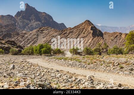 Moyen-Orient, Péninsule arabique, Oman, Al Batinah Sud, Rustaq. Un wadi dans les montagnes désertiques d'Oman. Banque D'Images