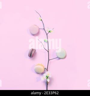Macarons français sur fond rose pastel avec une branche de une fleur de pomme de printemps Banque D'Images