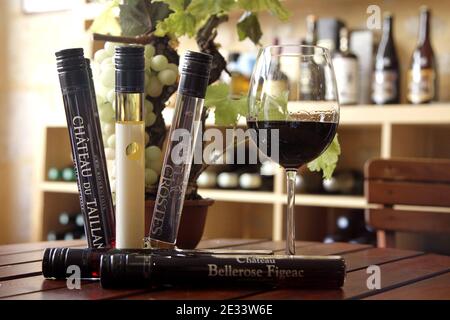 Verres tubes appelés 'Wits' remplis de vin blanc, rose et rouge dans un verre à pied, dans la ville française de Bordeaux, au sud-ouest. Les tubes de puits, contenant 6 ou 10 cl de vin, ont été conçus par deux entrepreneurs de Bordeaux pour simplifier l'expédition des échantillons et pour donner la liberté de consomation pendant le camping, pic-nic et autres le 14 septembre 2010. Photo de Patrick Bernard/ABACAPRESS.COM Banque D'Images